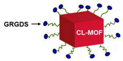 Application of Gamma Cyclodextrin in the field of platelets