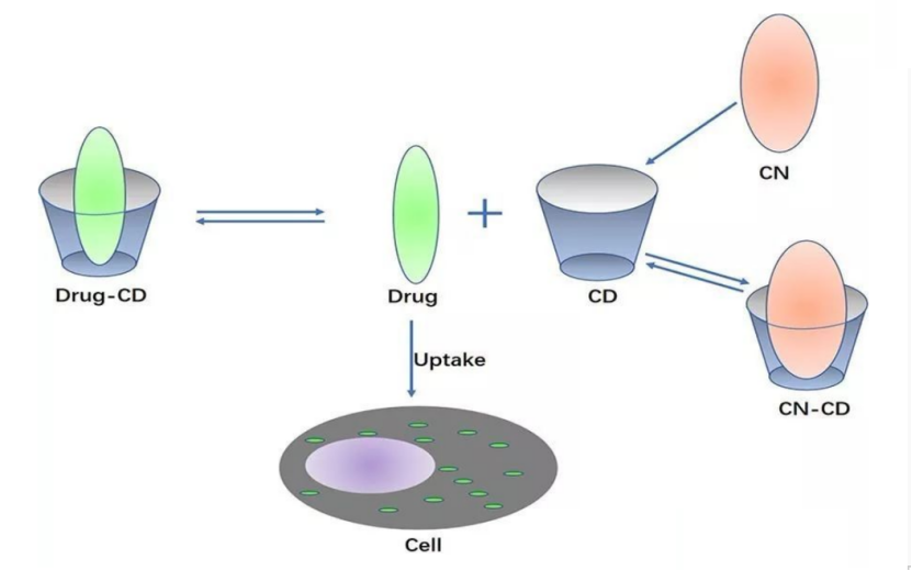 Sulfobutyl Beta Cyclodextrin Sodium (SBECD) accumulation and voriconazole